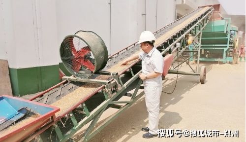 2020年河南省最低收購(gòu)價(jià)糧食收購(gòu)工作方案解析 為何糧食收購(gòu)仍是核心環(huán)節(jié)？